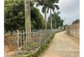 Bán khuôn viên nhà vườn tại Cổ Đông, Sơn Tây, Hà Nội 1706m2